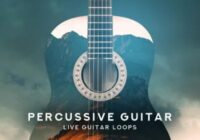 Black Octopus Sound – Percussive Guitar (WAV)
