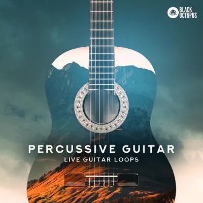 Black Octopus Sound – Percussive Guitar (WAV)